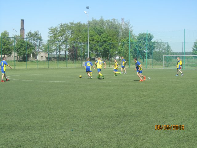 pino 6